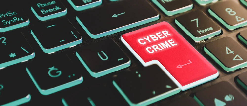 Cybercrime’s Paralyzed Prey Thumbnail